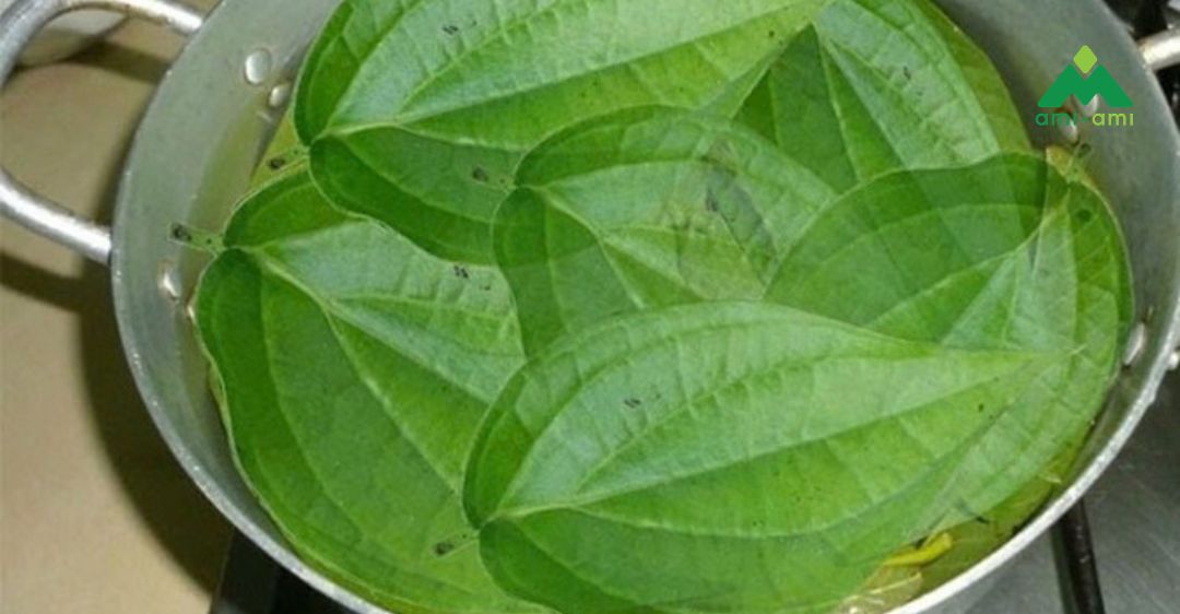 Những lưu ý khi xông mặt sau sinh bằng lá trầu không